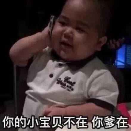 斗图表情包合集你的小宝贝不在,你爹在