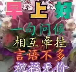最新暖心早上好问候语阳光句子微信清晨祝福语图片