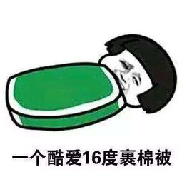 修空调师傅表情包图片度数