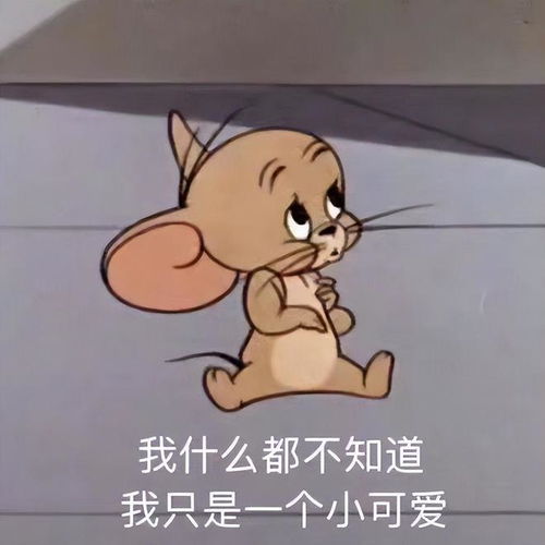 魔都的解药,藏在哪里