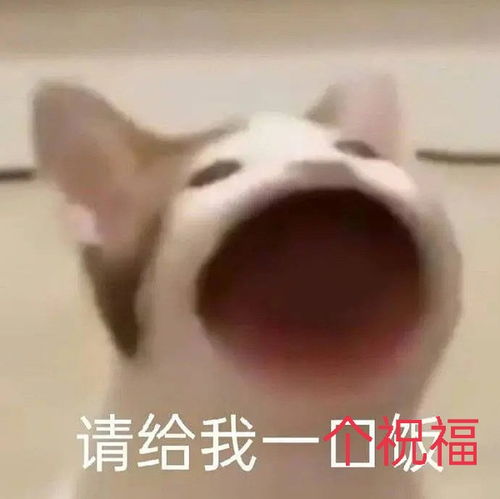 早安楼20211010