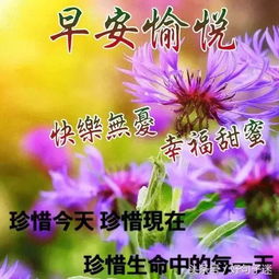早上好温馨问候图片动态表情问候语早上好语录