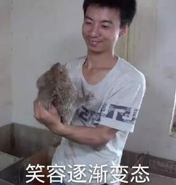 竹鼠杀手华农兄弟刷屏朋友圈卢涵说笑skr人
