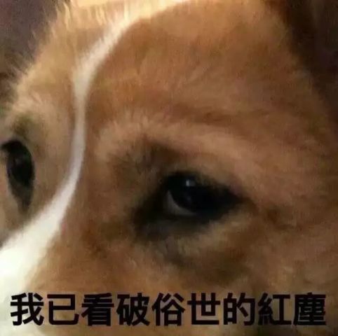 听说下周就要开学了这些为父母做的事你做了吗