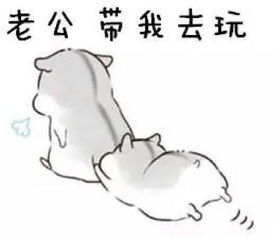 仓鼠表情包夸老公表情包合集老公最帅,老公最棒