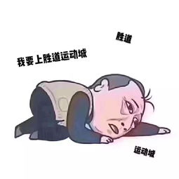 胜道体育丨春暖花开购物出游季
