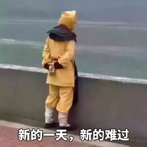 梁静茹14小时不间歇回怼,为范玮琪取关张韶涵,非常不塑料