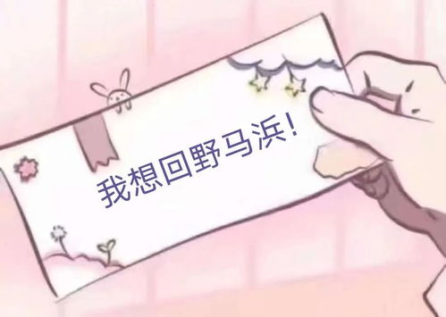 政关注双佳老师带你云赏校园点击回看精彩瞬间