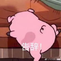 老板别打我看到这些公司,我想跳槽了
