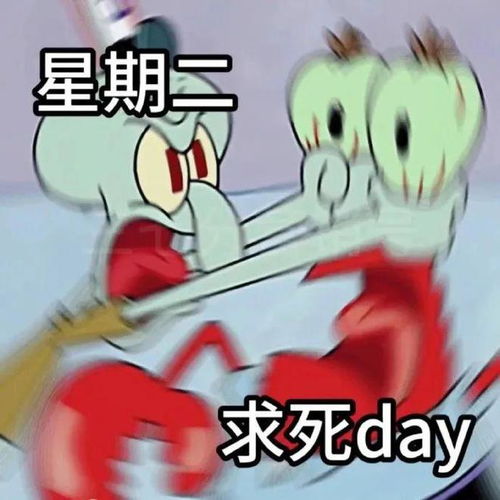 主打一个平静但发疯系列章鱼哥表情包合集