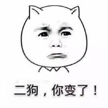 二狗子表情包