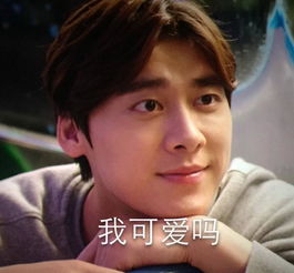 陈伟霆老婆表情包穷奇