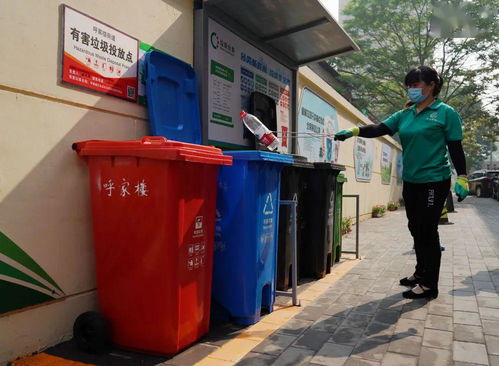 垃圾分类北京卷来了,朝阳这样答
