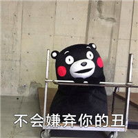熊本熊经典可爱卖萌的表情包经常嘲讽你的人真实想法是什么