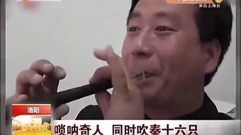 十六夜日记