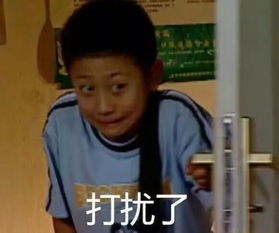 走向世界的中国表情包中华田园猫表情担当,全球网民云吸猫.....