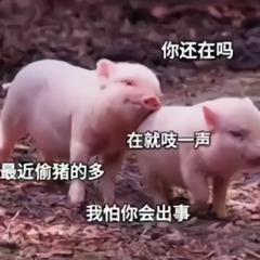 喊对象起床很宠的套路表情包小懒猪起床了,再不起床的话