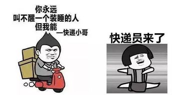 不落单的双十一,周末我们该怎么过