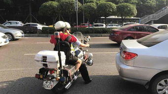 图集聚焦环球视界