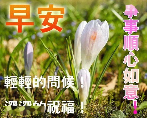超好看的早上好问候祝福表情图片大全微信问候早上好温暖祝福语图片
