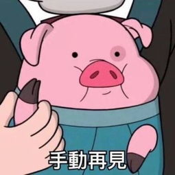 猪年为什么只有354天