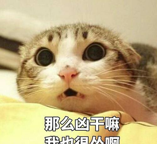 你有没有想过猫咪呼噜声是怎么发出来的这应该是最硬核的科普