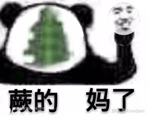 起床啦表情包第一句起床