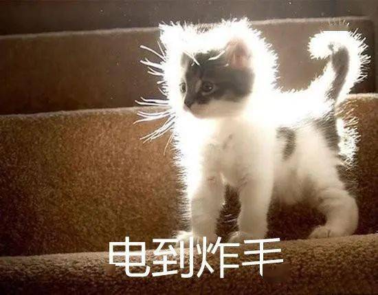 最低10冷空气又双叒来了,今起影响东莞