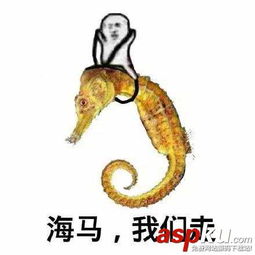 皮皮虾我们走表情包火了,可是它很累了你知道吗