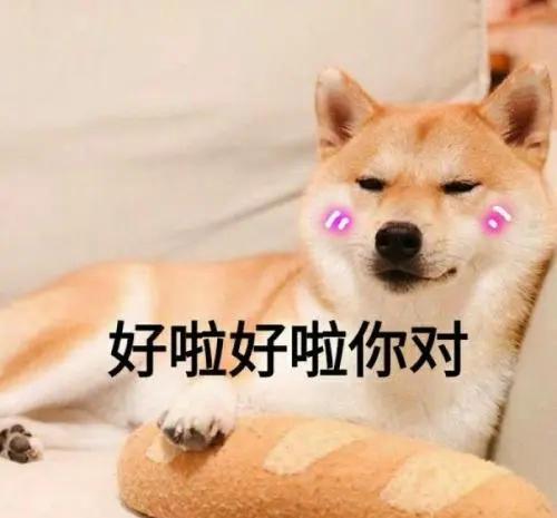 我要出去玩了的表情包狗子说