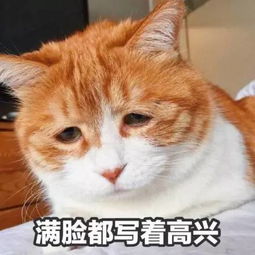 在北京,五一千万别去这些景区,否则......