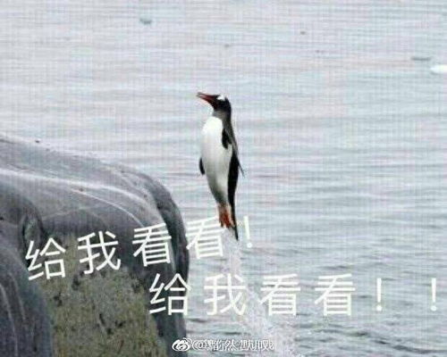 为什么有那么多白菜价约稿