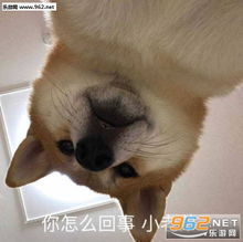 小老弟你往后稍稍图片小老弟你往后稍上那么一稍表情包下载乐游网游戏下载