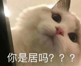 4张有点污的表情包,最后一张千万别发给男朋友,小心逃不掉