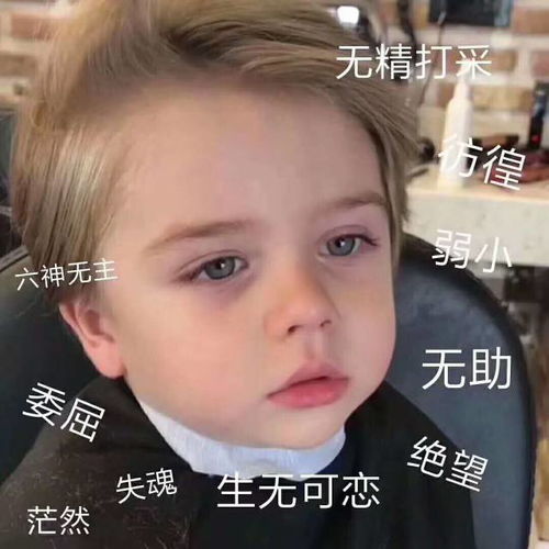 你脱发了不起啊了不起