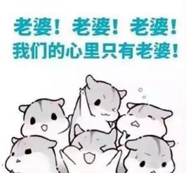这个让全成都帮他寻人的李哥,居然