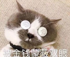 祭坛可以偷吗
