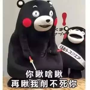 表情包一言不合就斗图东北话表情包拿走不谢