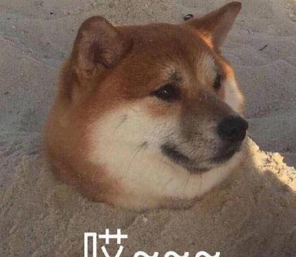 山寨版上错花轿嫁对郎为什么翻拍剧总是如此难看