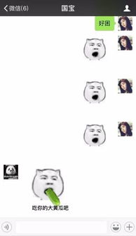 打字有表情包是什么软件治疗