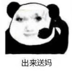 赢一把就睡觉05赢了,挺简单的d00熊猫头打游戏表情包0005打游戏熊猫表情