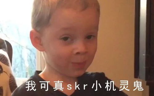 新鲜事微信更新啦,斗图者的狂欢