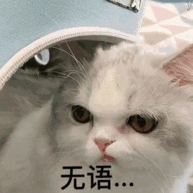 可爱喵咪表情包无语...