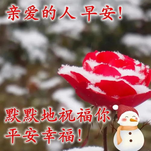 8张清新漂亮风景冬日早上好祝福图片带字温馨聊天不用打字的祝福图片精选