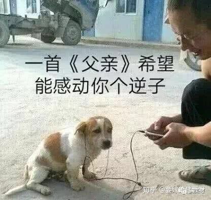 为什么我女朋友可以叫易烊千玺老公,叫李现男朋友,我就不能叫新垣结衣老婆呢