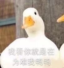 不说晚安了我要和你一起睡觉晚安不说睡觉一起表情