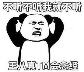 微信贴图表情包枸杞