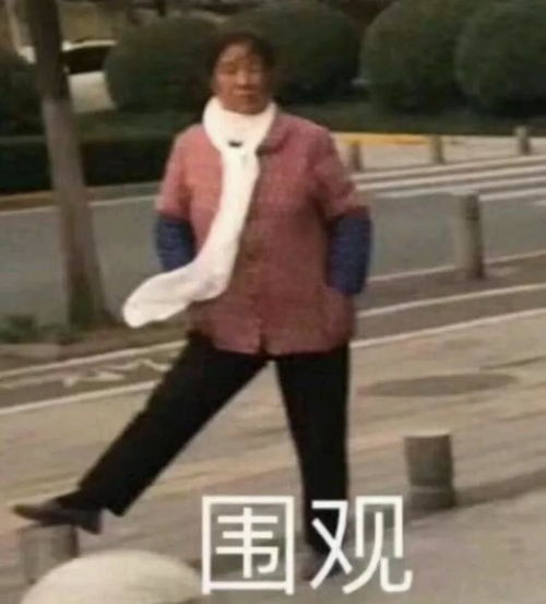 表情包丨农村大舞台,想要你就来跟着我的节奏,摇起来