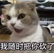 一级警戒名媛喵星人邀你一起玩喵