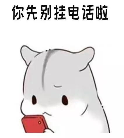 仓鼠打电话表情包你先别挂电话啦